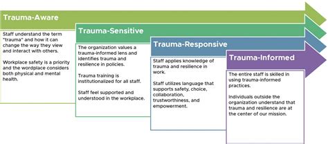 What are the trauma-informed stages?
