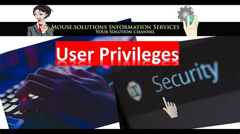 What are the two 2 types of user privileges?