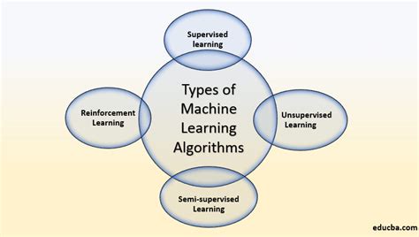 What are the two kinds of algorithm?