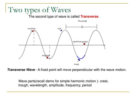 What are the two main types of waves?