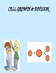What are the two reasons why cells Cannot survive at a large size?