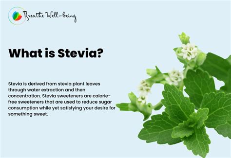 What are the two types of stevia?