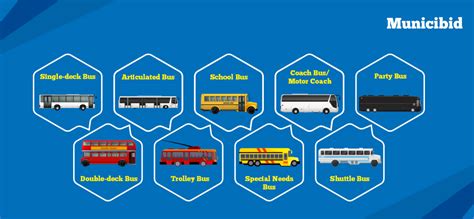 What are the types of buses?