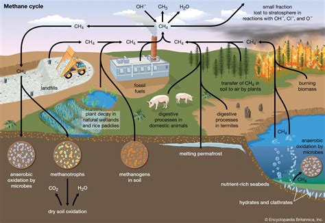 What are the uses of methane?