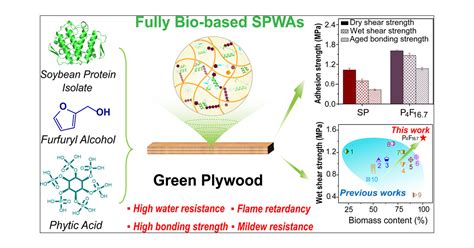 What are the uses of protein adhesive?