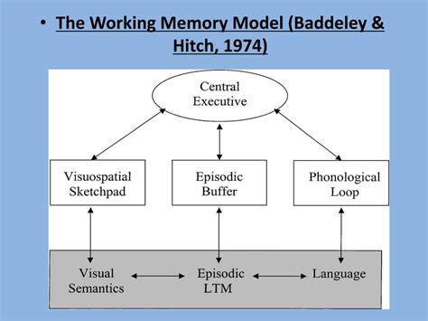 What are the weaknesses of the working memory model?