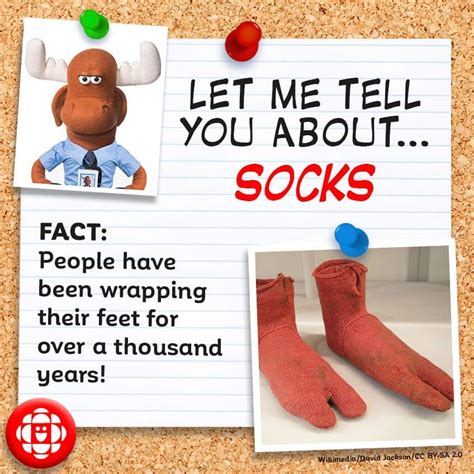 What are three facts about socks?