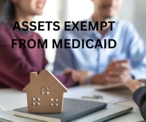 What assets are exempt in Texas?