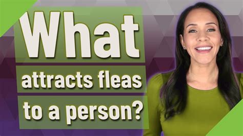 What attracts fleas to a person?