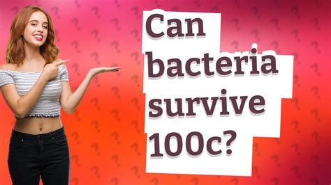 What bacteria can survive 100c?