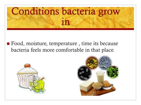 What bacteria grows on pasta?