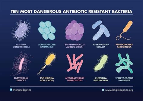 What bacteria is the most resistant to antibiotics?