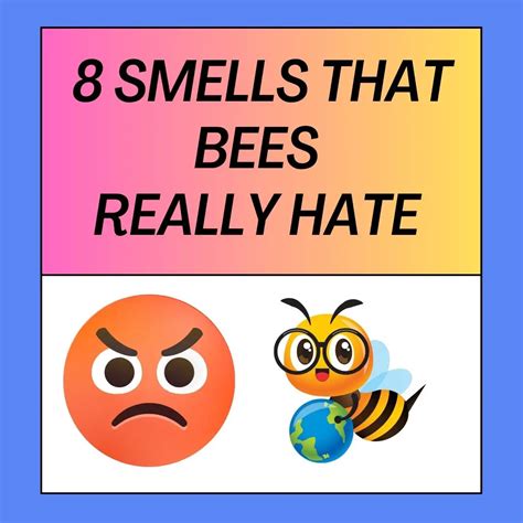 What bees hate the most?