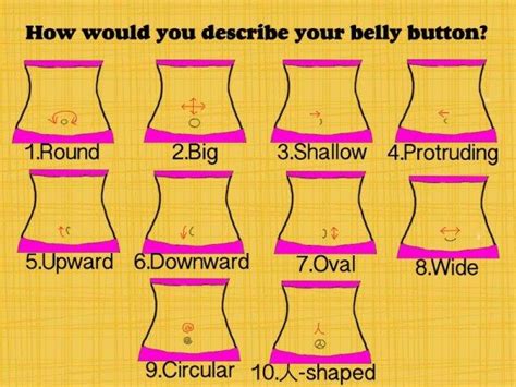 What belly shape is most attractive?