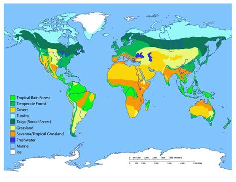 What biome covers 70% of Earth?