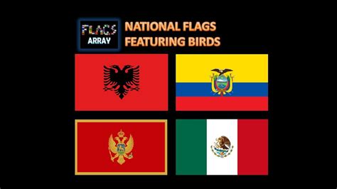 What bird is on the flag?