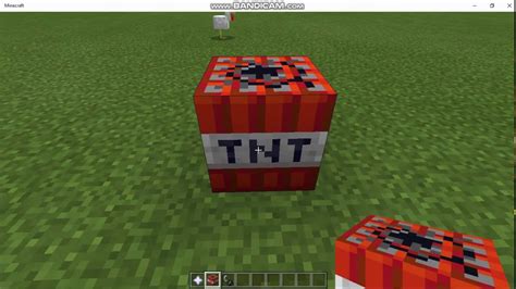 What block is immune to TNT Minecraft?