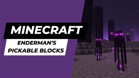 What blocks can't be picked up by endermen?