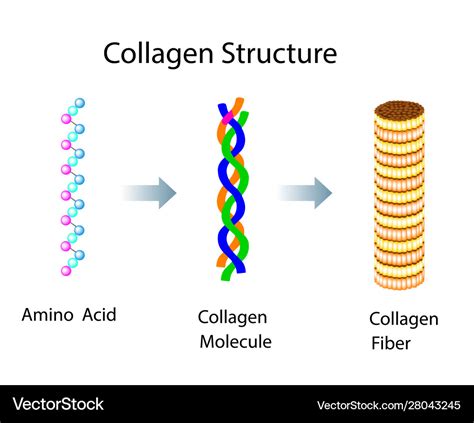 What blocks collagen?