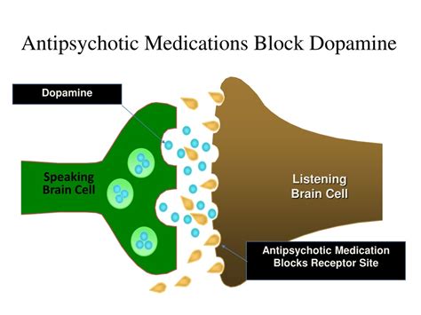 What blocks dopamine?