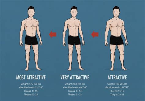 What bodies do men find most attractive?