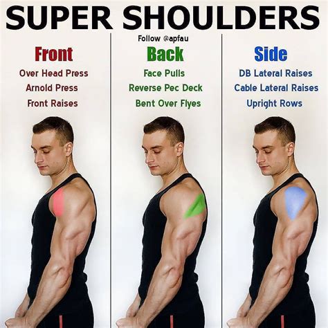 What body type has big shoulders?