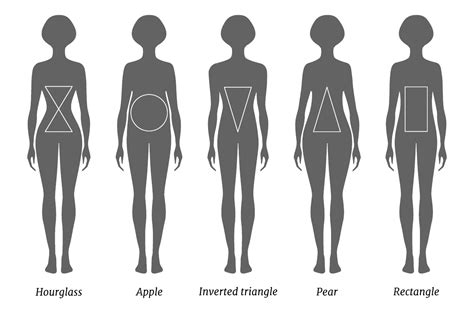 What body type has no hips?