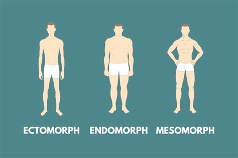 What body type is a runner male?