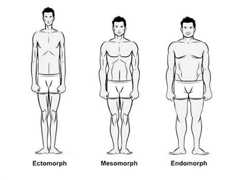 What body type is tall skinny?