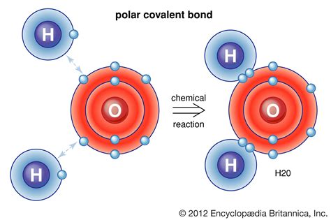 What bonds hold plastic together?