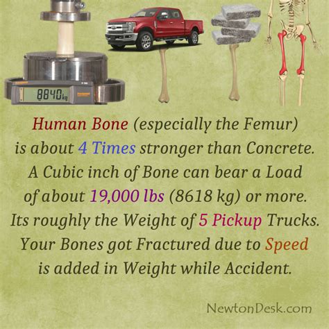 What bone is 4 times stronger than concrete?