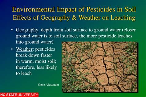 What breaks down pesticides in soil?