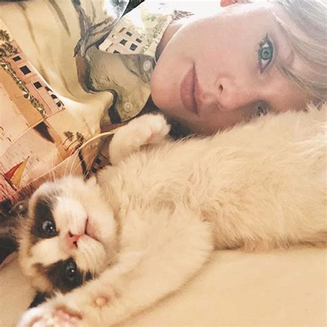 What breed is Taylor Swift's cat Benjamin?