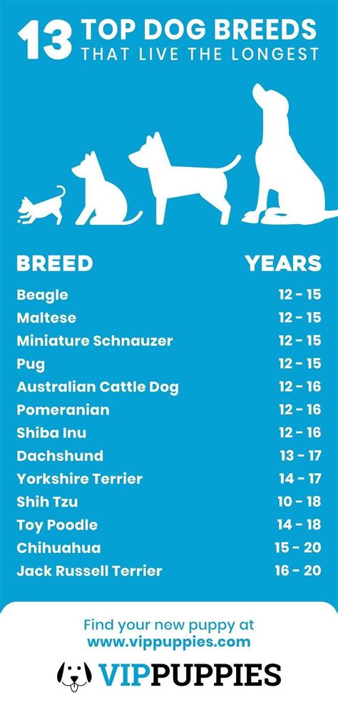 What breed lives the longest?