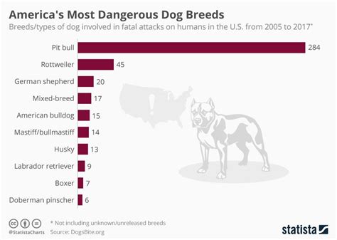 What breed of dog has the most attacks?