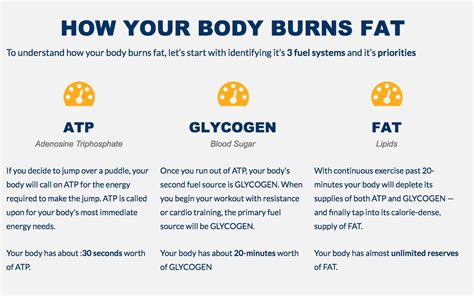 What burns the most body fat?