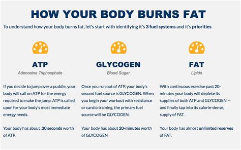 What burns the most fat?