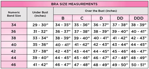 What bust size is a XXL?