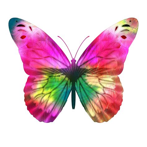 What butterfly is pink?