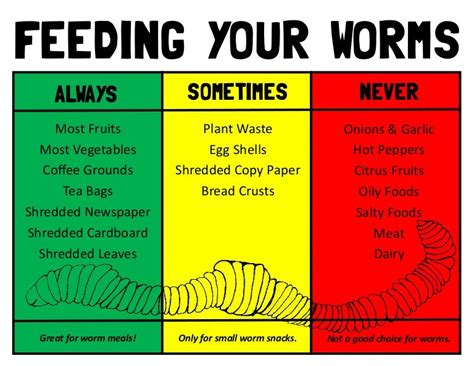 What can't you feed worms?