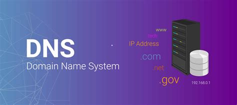 What can DNS tell you?