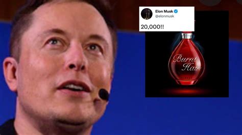 What can Elon Musk buy?