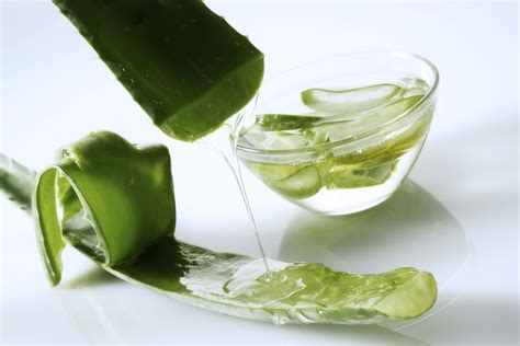 What can I blend aloe with?