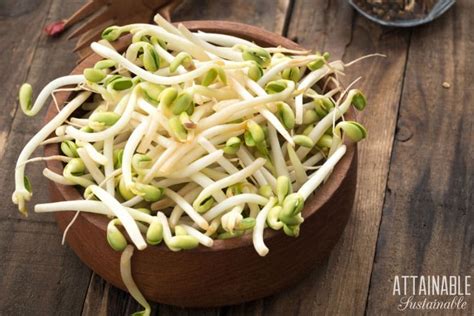 What can I do for long sprouts?