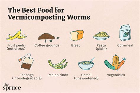 What can I feed worms?