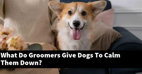 What can I give my dog to calm down for grooming?