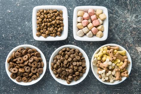 What can I mix with dog food?