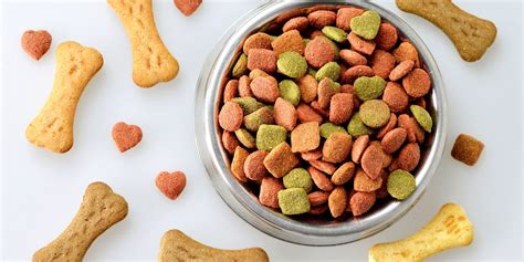 What can I pour on dry dog food?