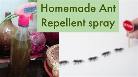 What can I spray on my bed to keep ants away?