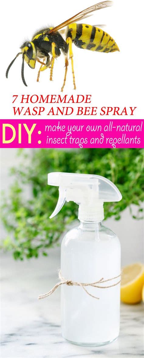 What can I spray to keep wasps away?